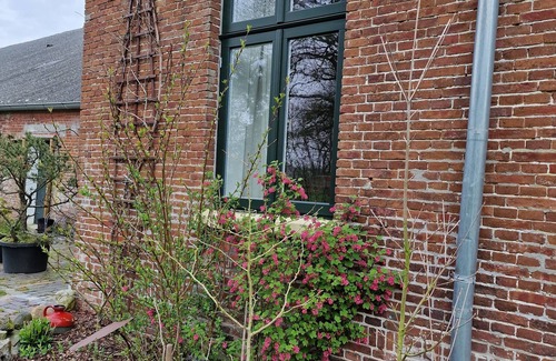 Bunde Apartment | Apartment Lapo