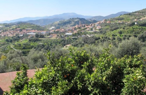 Pompeiana Apartment | Apartment Le Mimose in Pompeiana - 2 persons, 1 bedrooms