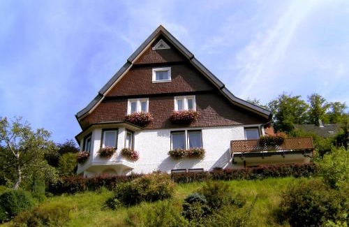 Triberg im Schwarzwald Apartment | Apartment Maier-1 by Interhome