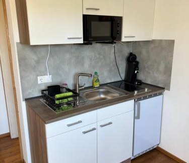 St. Peter im Schwarzwald Apartment | Apartment Malerkarle zentral