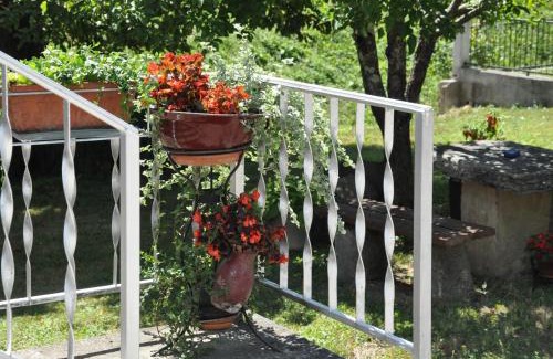 Buzet Apartment | Apartment Marioni