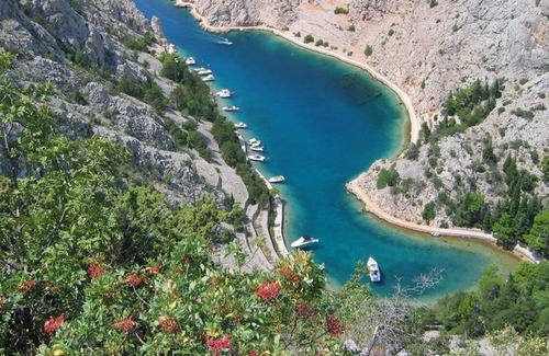 Ribarica Apartment | Apartment Mil - 30 m from beach: A1(2+2) - Ribarica, Riviera Senj, Croatia