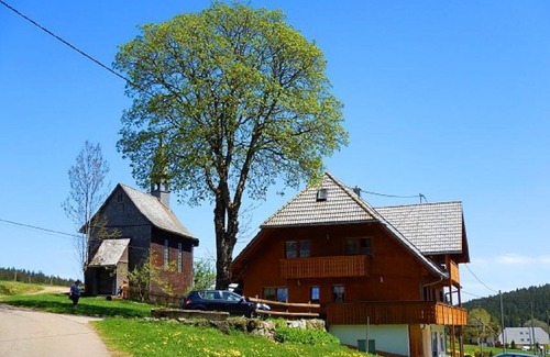 Schollach Apartment | Apartment 'Mühlenblick' with Shared Terrace, Shared Garden and Wi-Fi