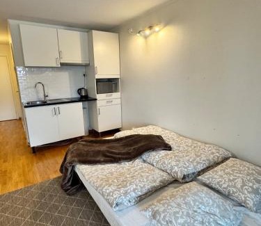 Spikkestad Apartment | Apartment near Oslo, Drammen, and a lake