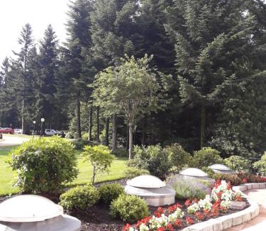 Baden-Baden Apartment | Apartment near Villa Turgenev