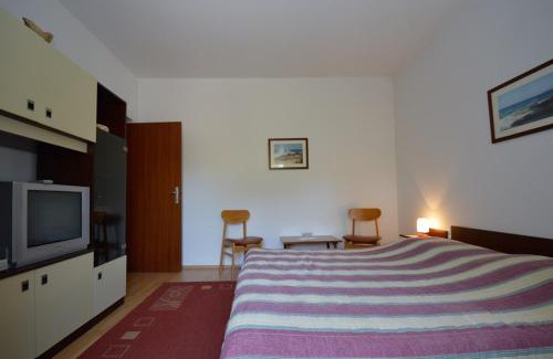 Vintijan Apartment | Apartment Nela 23