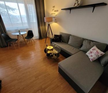 Zapad Apartment | Apartment next to Steel Arena