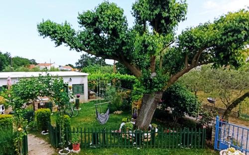 Segotici Apartment | Apartment Nika