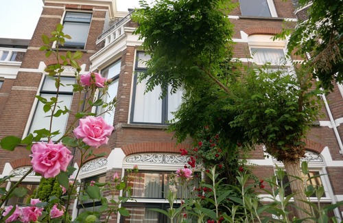Statenkwartier Apartment | Apartment Pauw57 Scheveningen The Hague