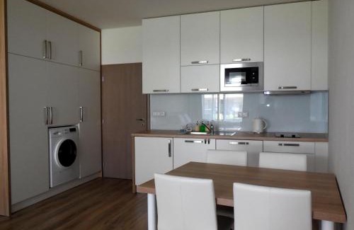 Brno Apartment | Apartment Potter