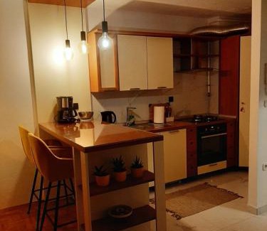 Varazdin Apartment | Apartment Relax with infrared Sunshower