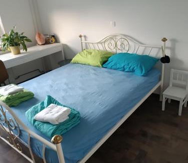 Celje Apartment | Apartment Renata, Celje
