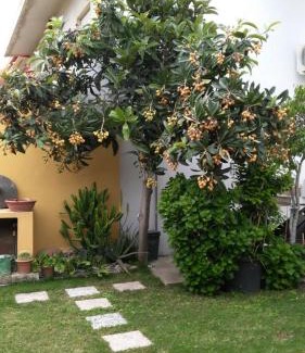 San Vito Apartment | Apartment Rose e Fiori Sardegna
