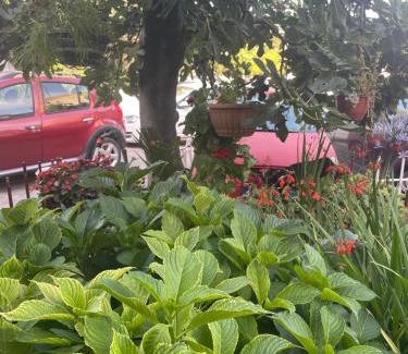 Centar Apartment | Apartment Ruzica
