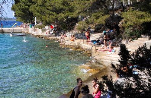 Island Dugi Otok Apartment | Apartment Sali 872a