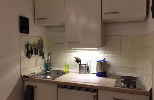 Neuschwabing Apartment | Apartment Schwabing/Olympic Park/BMW