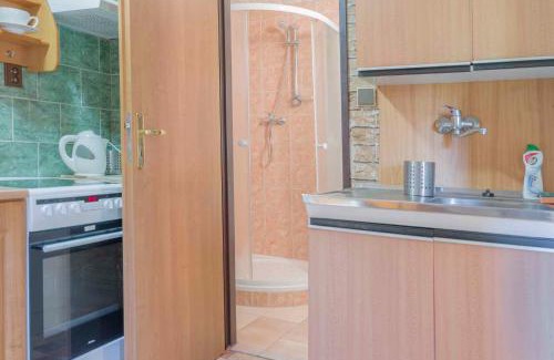 Svoboda nad Upou Apartment | Apartment Svoboda nad upou 1
