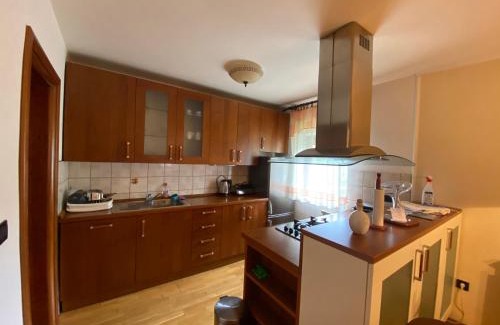 Fuzine Apartment | Apartment Tody's