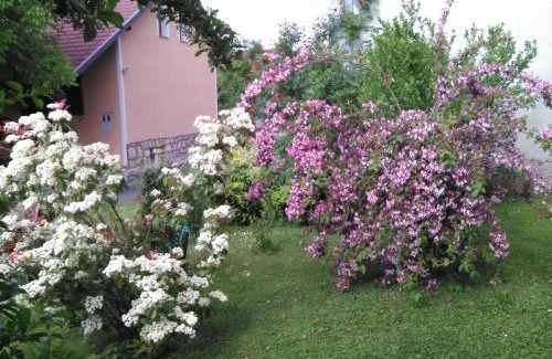Slunj Apartment | Apartment Tomašević