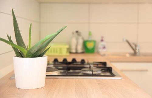 Funtana Apartment | Apartment Vita