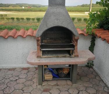 Funtana Apartment | Apartment Viti with garden and barbecue