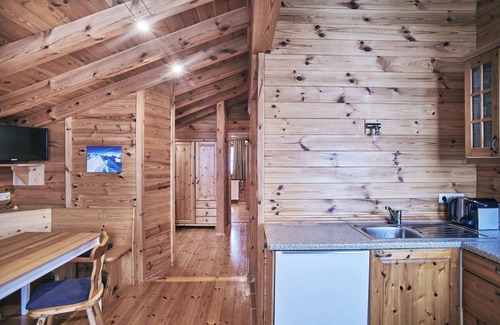 Obertauern Apartment | Apartment with mountain view 5