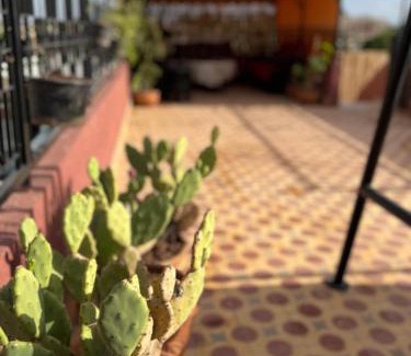 Sidi Bou Amar Apartment | Apartment with rooftop access