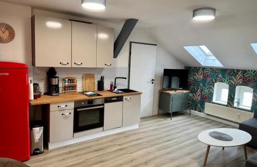 Erfurt Old Town Apartment | Apartment zum bunten Schmetterling inkl. Parkplatz