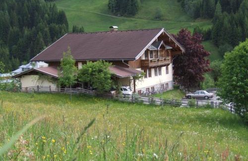 Wagrain Apartment | Apartmenthaus Kristall