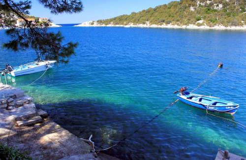 Zaklopatica House | Apartments and rooms by the sea Zaklopatica, Lastovo - 994