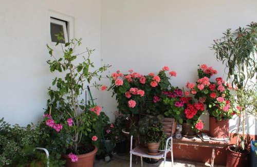 Metajna House | Apartments and rooms by the sea Metajna, Pag - 6496
