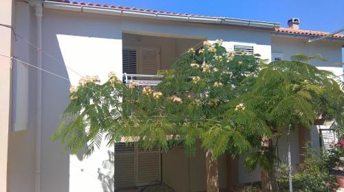 Jakisnica House | Apartments and rooms LJUBICA
