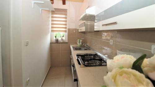 Kastelir-Labinci Apartment | Apartments Brcic