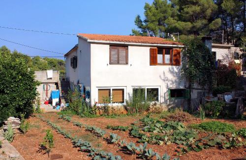Cove Basina (Jelsa) Apartment | Apartments by the sea Basina, Hvar - 116