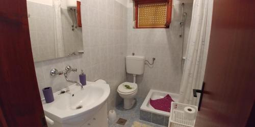 Molat Apartment | Apartments by the sea Brgulje, Molat - 16217