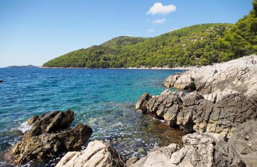 Brna Apartment | Apartments by the sea Brna, Korcula - 4468