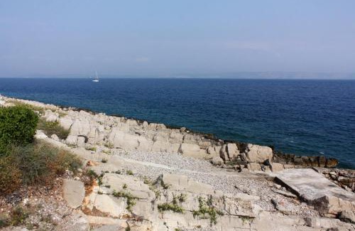 Cove Donja Krusica (Donje selo) Apartment | Apartments by the sea Cove Donja Kruscica - Donja Krusica, Solta - 12418