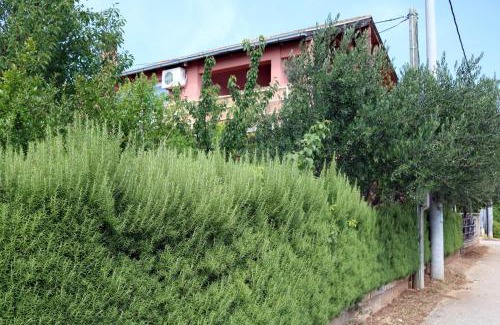 Gornji Karin Apartment | Apartments by the sea Gornji Karin, Novigrad - 11806