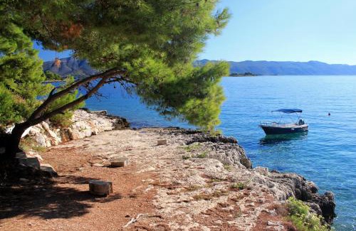Lumbarda Apartment | Apartments by the sea Lumbarda, Korcula - 9172
