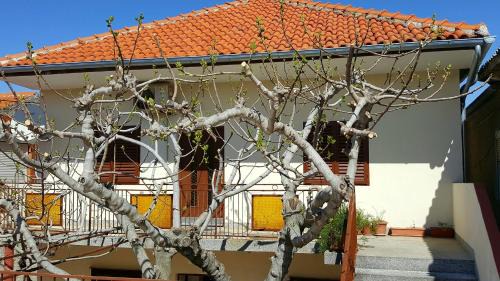 Municipality of Posedarje Apartment | Apartments by the sea Posedarje, Novigrad - 12402
