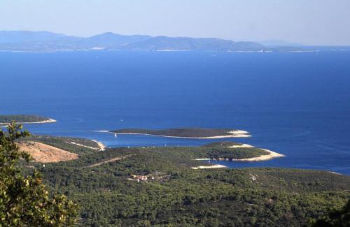 Rukavac Apartment | Apartments by the sea Rukavac, Vis - 1154