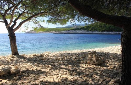 Rukavac Apartment | Apartments by the sea Rukavac, Vis - 1154