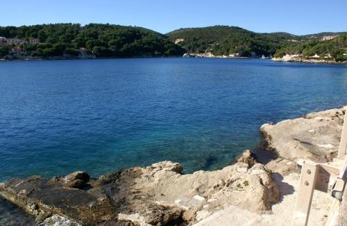 Sumartin Apartment | Apartments by the sea Sumartin, Brac - 18749