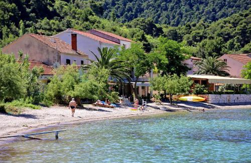 Zuljana Apartment | Apartments by the sea Zuljana, Peljesac - 10228