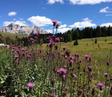 Colfosco Apartment | Apartments Chalet Ciufdlton