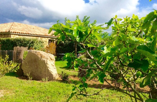 Figari Apartment | Apartments in an old renovated sheepfold