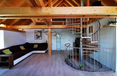 Feichten House | Apartments in Blockhaus im Wald