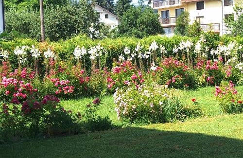 Kiseljak Apartment | Apartments Kenedy