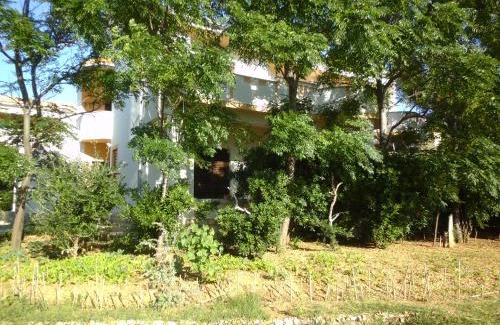 Pag Apartment | Apartments Krešimir beauty with shadow trees and parking place