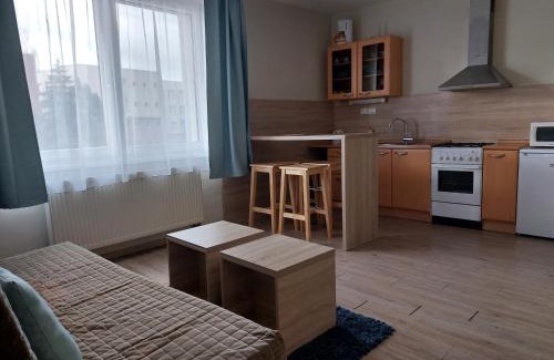 Old Town Apartment | Apartments Lafranconi